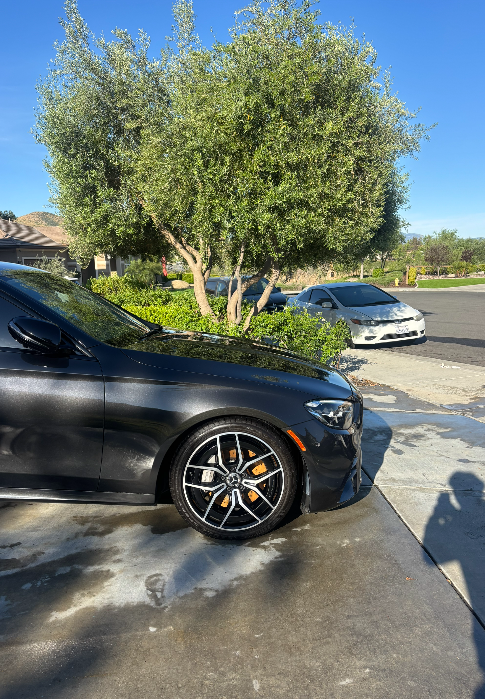 Polished wheels and tire shine service