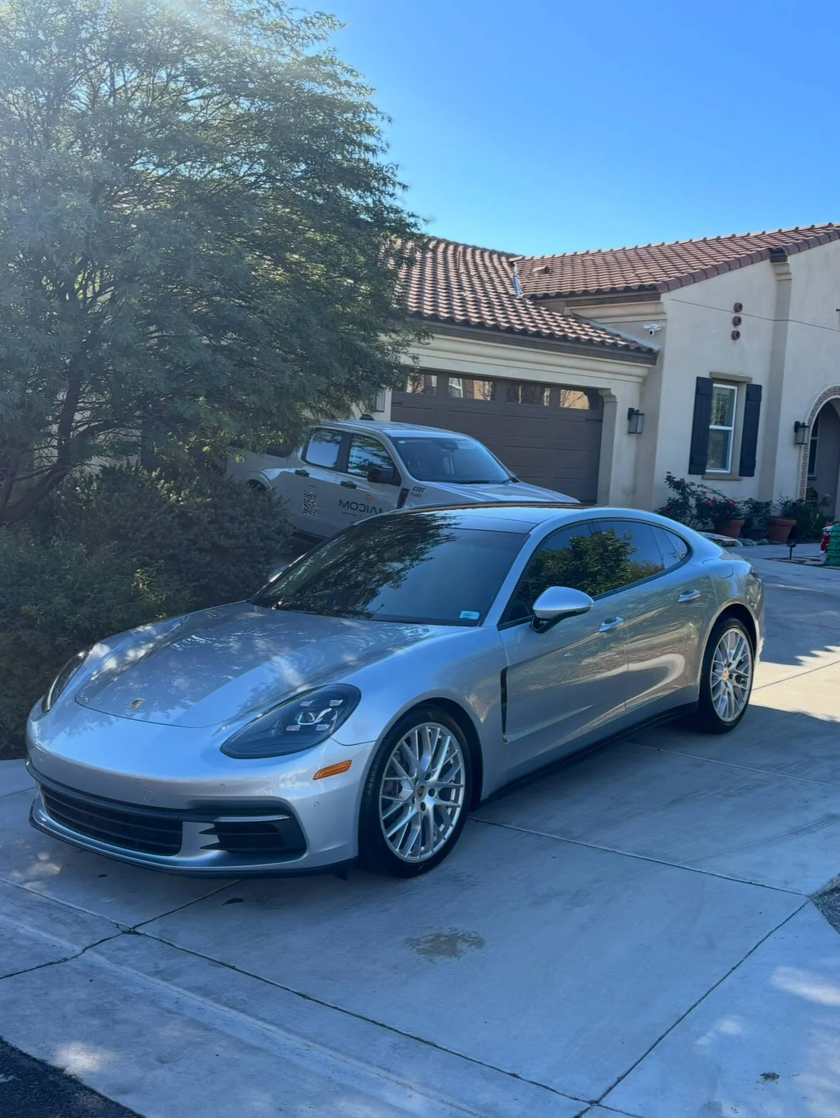 Professional detailing service